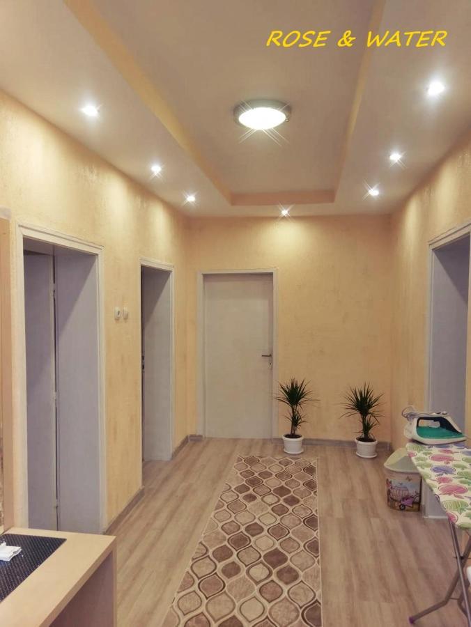 Rose & Water Guest House Pavel Banya Exterior foto