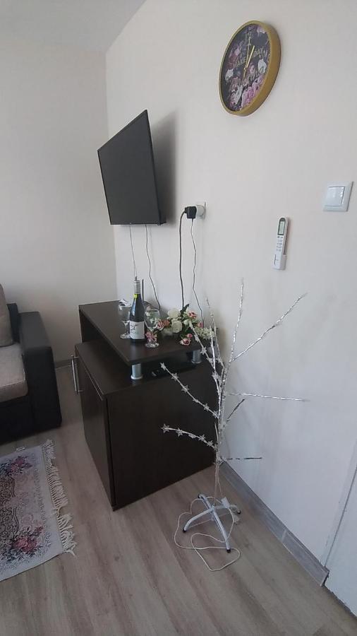 Rose & Water Guest House Pavel Banya Exterior foto